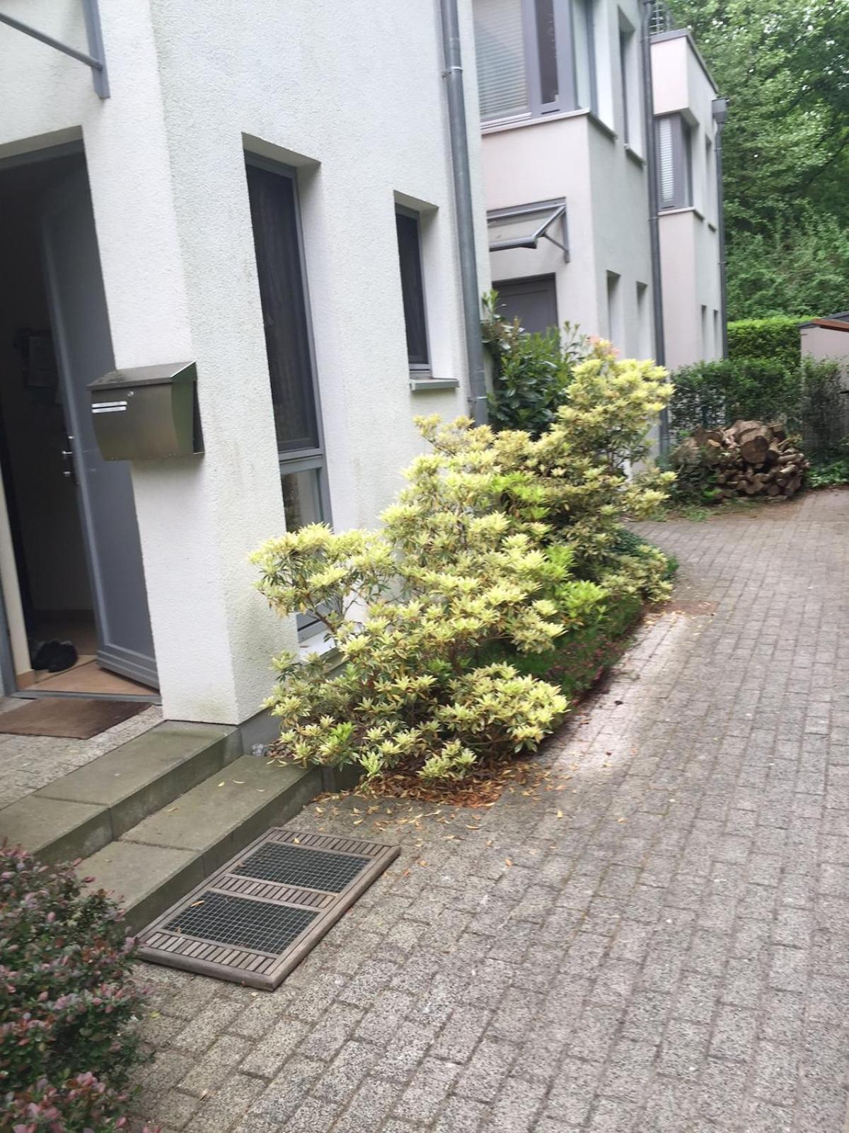 Reihenhaus Inmitten Der Stadt Mit Sauna *